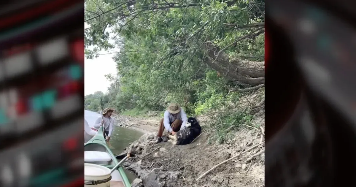 Összekötözték a lábait, majd a Tiszába akartak dobni egy kutyát Nagyarnál