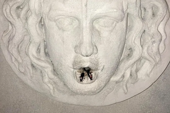 Rengeteg a csótány Budapesten, és senki nem tudja, hogy miért