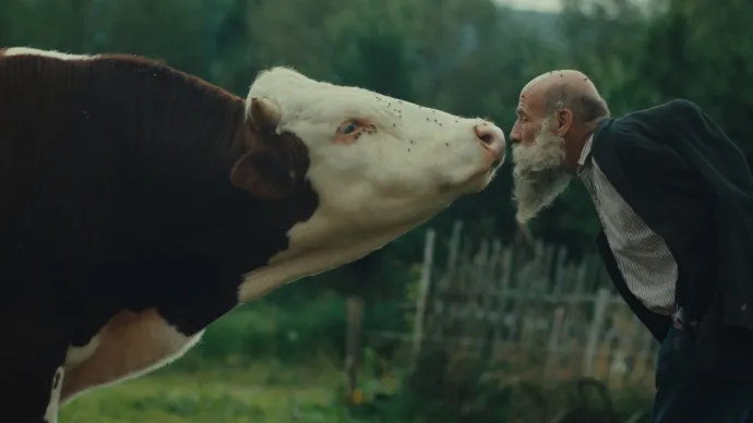 Forrás: Kviff.com