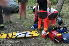 Tűzoltók mentették meg Balatonfürednél azt a kerékpárost, akinek átszúrta a lábát egy faág