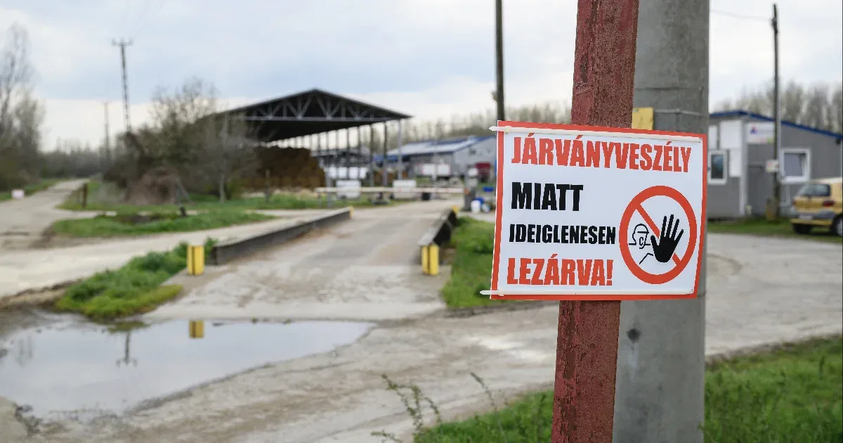Városvezetés: Bábolna nem kíván dögtemető lenni!