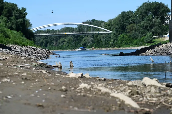 Emberi hamvakat találtak a Tisza mellett Szolnokon