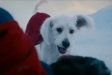 Rengetegen akarnak kutyát örökbefogadni a Superman-film miatt