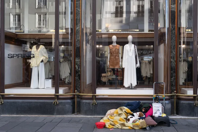 They come to Vienna thinking that money grows on trees here, but end up sleeping in parks