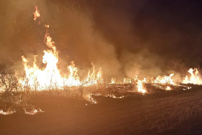 Arad megyében háromszor annyi vegetációtűz volt mint tavaly, sokat szándékosan okoztak