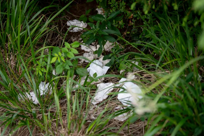 A turisták vécépapírral és szeméttel borítják be a Madarasi-Hargitát, de senki nem vállalja a felelősséget