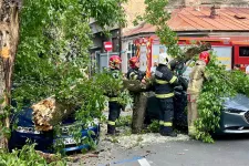 Meghalt egy ember a vihar miatt Bukarest mellett