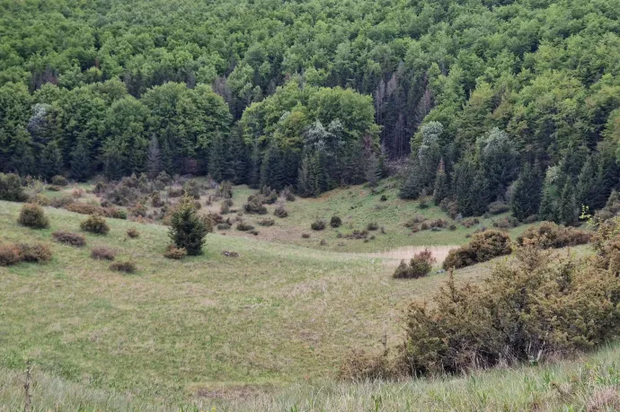 Gondolta volna, hogy már huszonkettedszer fagyott idén nyáron a Bükk-fennsíkon?