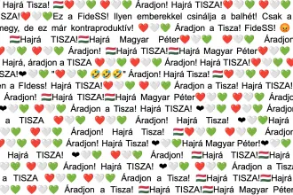 Magyar Péter állítólagos bothadseregének nyomába eredtünk