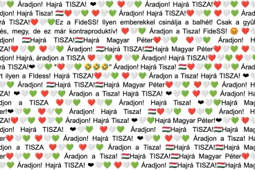 Magyar Péter állítólagos bothadseregének nyomába eredtünk