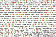 Magyar Péter állítólagos bothadseregének nyomába eredtünk