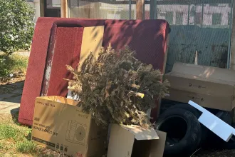 Újabb nyári hónap, újabb karácsonyfának kellett mennie