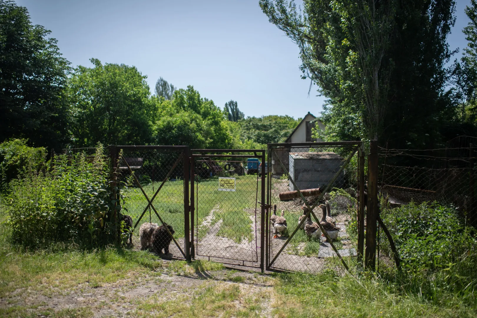 Fotó: Bődey János / Telex