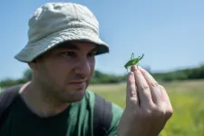 Úgy lengedeznek galajhintóikon, ahogy csak igazi hercegkisasszonyok szoktak