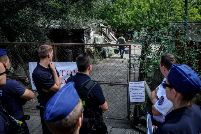 Seres a végrehajtót és a rendőröket faképnél hagyva indul megitatni az állatait – Fotó: Huszti István / Telex