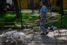 Tényleg kell a napi 10 ezer lépés az egészséghez? Újra vizsgálták, mennyit kell sétálni naponta az egészségért