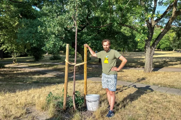 Hegedűs Kristóf, a beeco alapítója – Fotó: Thüringer Barbara / Telex