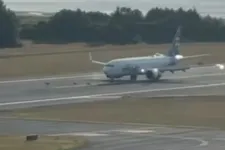 Szarvasokat ütött el az Alaska Airlines repülőgépe