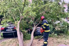 Emberre dőlt egy fa, villám okozott tüzet – nyolc megyét súlyosan érintett a szombati vihar