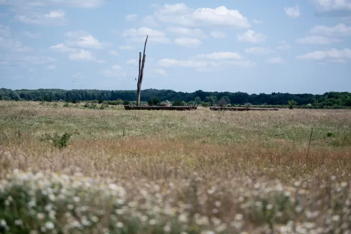 A hajdúbagosi rezervátum, az alsó képen egy járatrendszer bejárata – Fotó: Bődey János / Telex