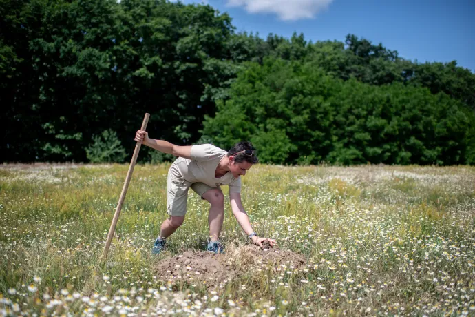 Moldován Orsolya, a Hortobágyi Nemzeti Park ökológiai szakreferense – Fotó: Bődey János / Telex