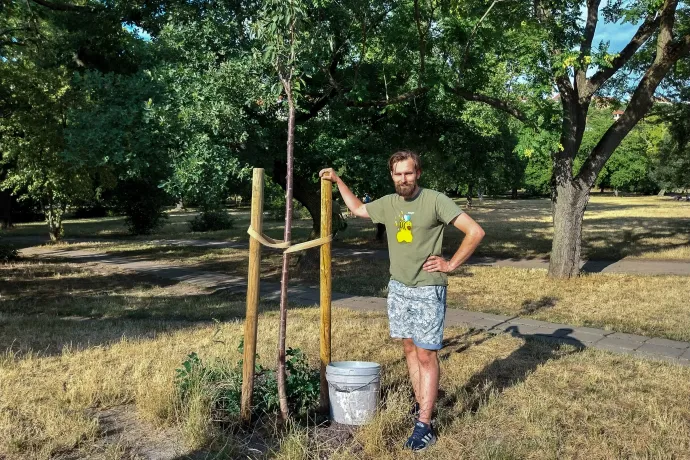 Kipróbáltuk, hogy milyen hétről hétre száz liter vizet cipelni a szomjazó fákhoz