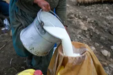 A Bonafarm-csoport bevásárolná magát a romániai tejpiacra