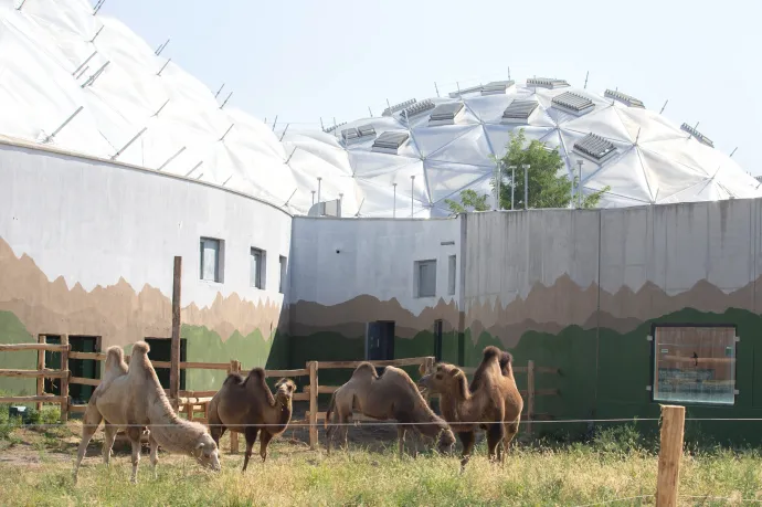 Év végén nyithat a Biodóm, a Fővárosi Nagycirkusz az állatkert felé terjeszkedne