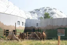 Év végén nyithat a Biodóm, a Fővárosi Nagycirkusz az állatkert felé terjeszkedne