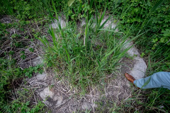 Fotó: Bődey János / Telex