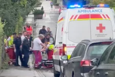 Lelőtt egy magyar betörőt az osztrák nyugdíjas, akit ki akartak rabolni Salzburgban