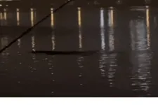 Azt találgatja az internet, hogy mi lehet a fura lény, amit a szöuli Han folyóban láttak