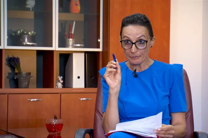 A Legfelsőbb Igazságszolgáltatási Tanács elnöke szerint 11 ezer lejes nyugdíj kevés a bíráknak