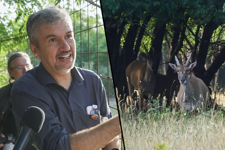 Hadházy: A lónak a faszát egy mezőgazdasági üzem