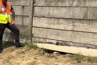 Forma–1 okosba: a betonkerítés alatt kaparászva próbálták beásni magukat a Hungaroringre