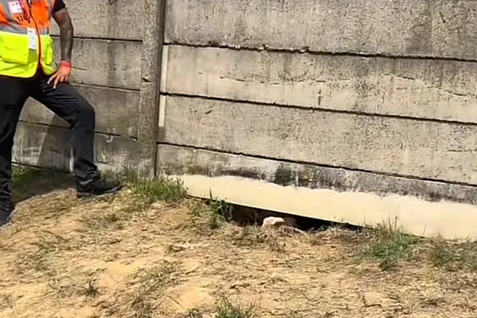 Forma–1 okosba: a betonkerítés alatt kaparászva próbálták beásni magukat a Hungaroringre