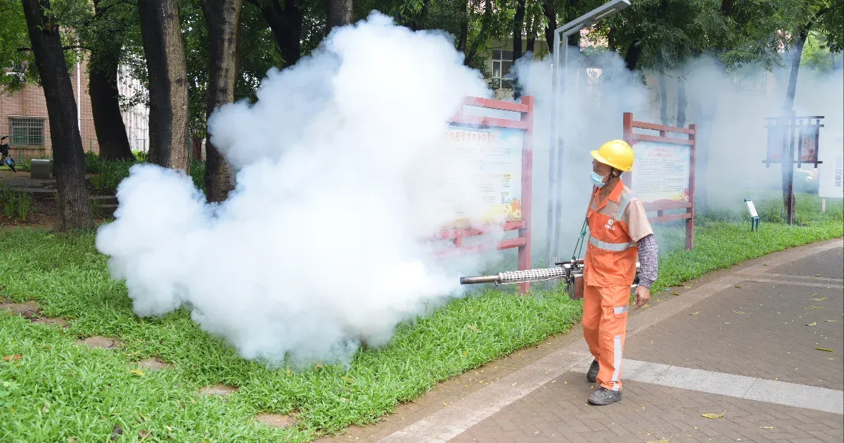 Chikungunya-járvány alakulása Kínában: aggodalom és intézkedések Kuangtung tartományban