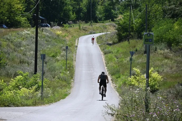 A Balaton felőli lejtő egy része – Fotó: Tenczer Gábor / Telex