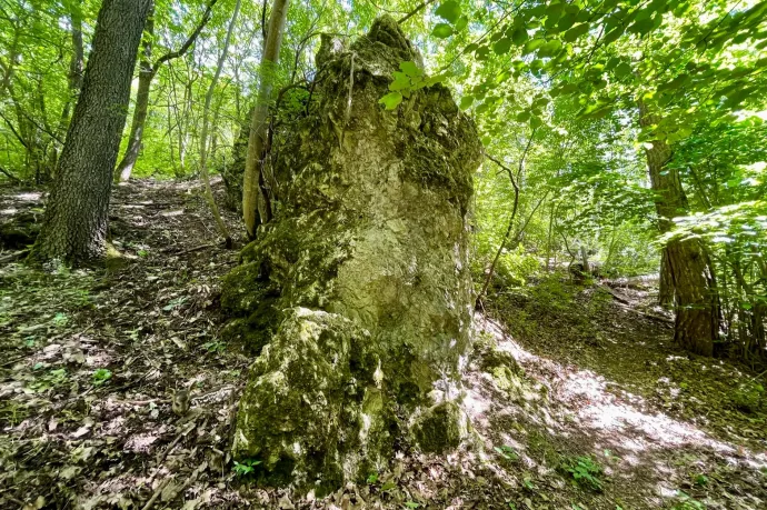 Bánya, sztyepplejtő, és szikla – ha alaposan nézi a képet a bal alsó sarokban a környezetbe szinte teljesen beleolvadó őzgidát is megtalálja – Fotó: Tenczer Gábor / Telex