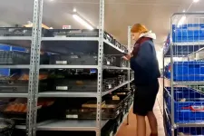 Arte: Nehezebb lett az európai diákok élete, de olyanok is tanulhatnak, akiknek régebben erre esélyük se volt
