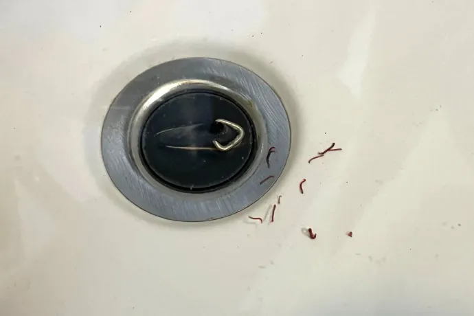 „Lecsavartam a szűrőt, aztán csak úgy potyogtak ki a kukacok” – ficánkoló élőlények jelentek meg a szakályi csapvízben