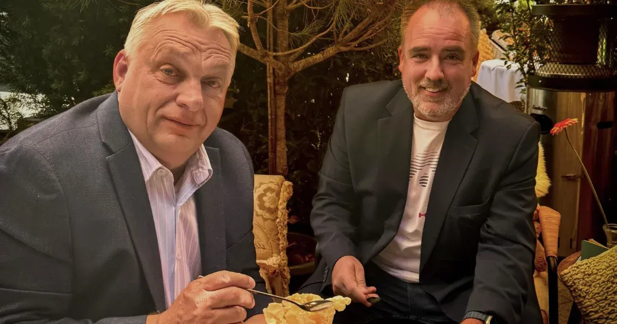 Török Gábor: Nem kaptam ajánlatot Magyar Pétertől vagy Orbán Viktortól Török Gábor: Nem kaptam ajánlatot Magyar Pétertől vagy Orbán Viktortól