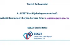 Még mindig nem működik a digitális közigazgatás: hibát jelez az EESZT és a magyarorszag.hu