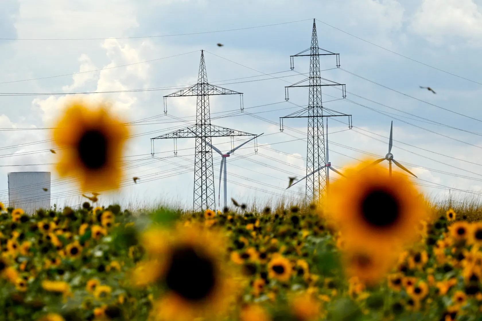 Miért csak látszólag olcsó a megújuló energia?