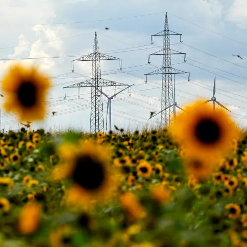 Miért csak látszólag olcsó a megújuló energia?