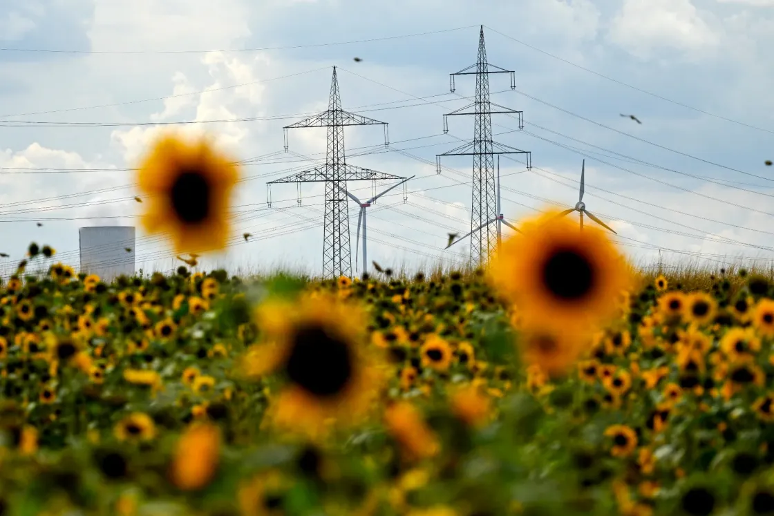 Miért csak látszólag olcsó a megújuló energia?