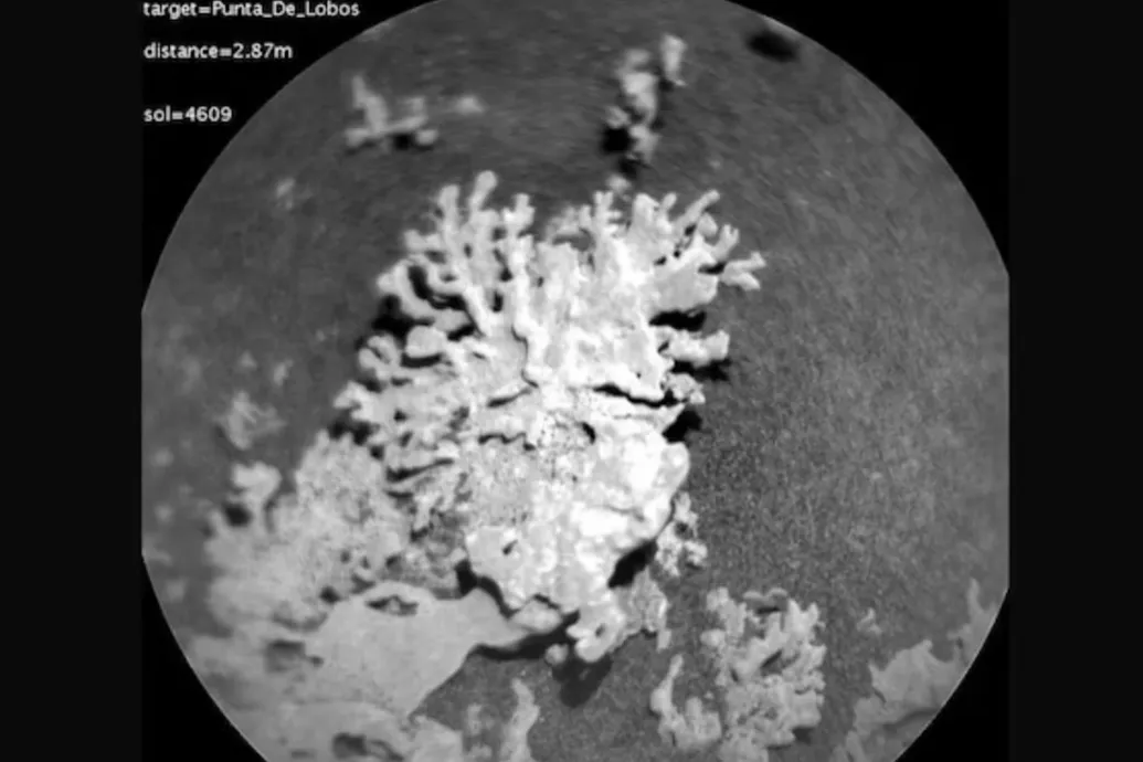 Korallra emlékeztető sziklaképződményeket fedezett fel a NASA marsjárója
