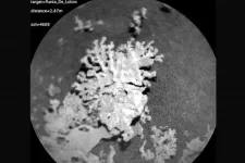 Korallra emlékeztető sziklaképződményeket fedezett fel a NASA marsjárója