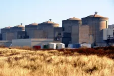 Medúzák rohamozták meg egy francia atomerőmű hűtőrendszerét