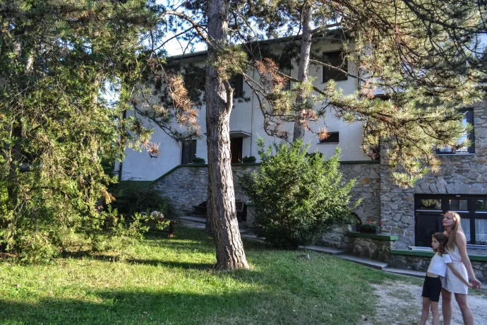 A Waldorf-pedagógiában a természet szeretete is hangsúlyos – Fotó: Nagy Márta / Telex